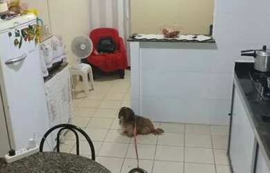 Imagem 8: Ágio ou a vista