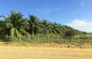 Imagem 6: Fazenda. 3.500m² de Área
