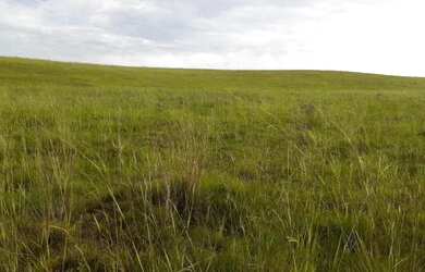 Imagem: A chácara está localizado em Cidade Alta, Alegrete à venda