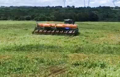 Imagem 8: Fazenda - Gurupi (TO