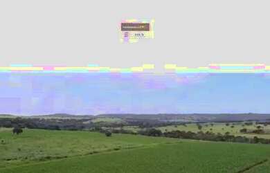 Imagem: A fazenda está localizado em Bela Vista de Goiás, GO à venda