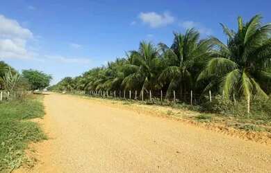 Imagem 10: Fazenda. 3.500m² de Área