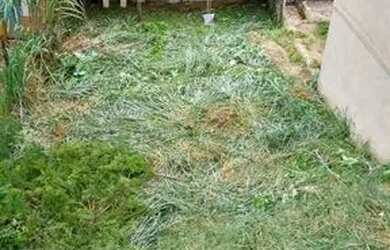 Imagem 2: Terreno. 225m² de Área