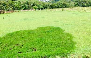 Imagem 4: lf-Vende-se terreno para excelente localização Nazare Paulista