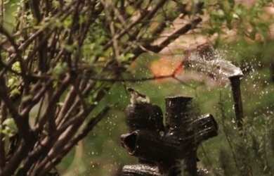 Imagem 4: Terreno para venda possui 700000 metros quadrados em Taíba - São Gonçalo...