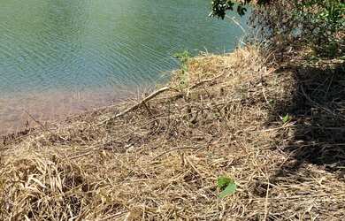 Imagem 16: Terreno para sua felicidade