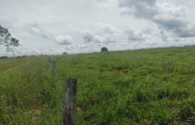 Imagem: A fazenda está localizado em Rio Dos Bois, TO à venda por
