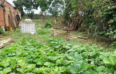 Imagem 1: Lote. 64m² de Área