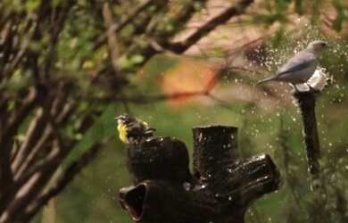 Imagem 3: Terreno para venda possui 700000 metros quadrados em Taíba - São Gonçalo...