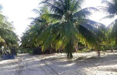 Imagem 7: Fazenda. 3.500m² de Área