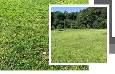 Imagem: O terreno possui 600m² de Área e está localizado em Centro