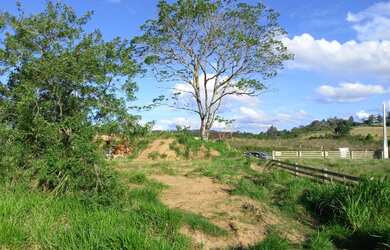 Imagem 5: Lote/Terreno para venda tem 1024 metros quadrados em Lomba Grande - Novo Hamburgo - RS