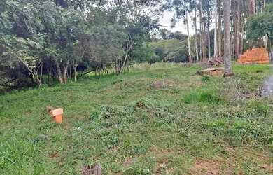 Imagem: O terreno possui 2.000m² de Área e está localizado em Cesário