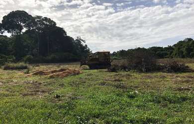 Imagem: A fazenda está localizado em Aparecida, Santarém à venda