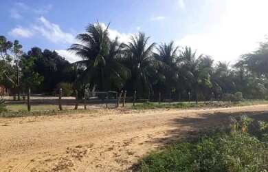 Imagem 13: Fazenda. 3.500m² de Área