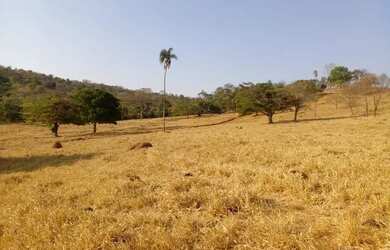 Imagem: A fazenda está localizado em São Luís de Montes Belos, GO