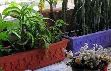 Imagem: A casa possui 5 Dormitórios, 5 Banheiros, 550m² de Área e