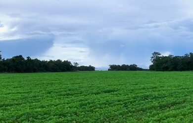 Imagem 7: Fazenda - Gurupi (TO