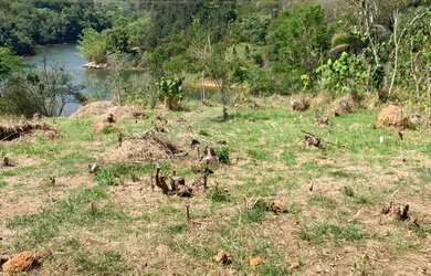 Imagem 12: Terreno para sua felicidade