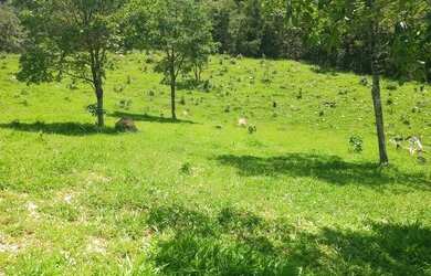 Imagem: A fazenda possui 581.000m² de Área e está localizado em