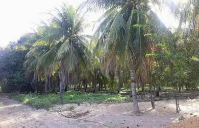 Imagem 1: Fazenda. 3.500m² de Área