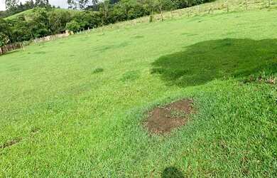 Imagem 7: VC- Vendo terreno para você e sua família