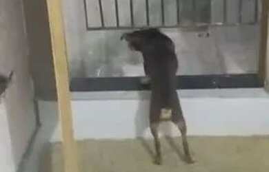 Imagem: A kitnet possui 1 Dormitório, 1 Banheiro, 30m² de Área e