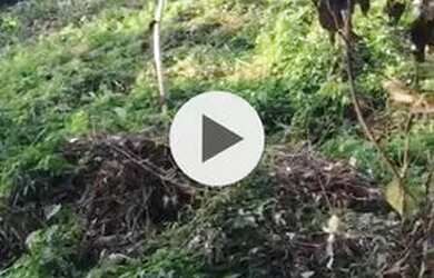 Imagem 2: Terreno em mangaratiba. 600m² de Área