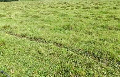 Imagem: O terreno possui 600m² de Área e está localizado em Centro