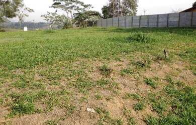 Imagem 11: Terreno à venda, 2800 m² por R$ 841.000,00 - Vila Guilherme - Santa...