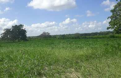 Imagem 2: Excelente Fazenda com 95 hectares na região de vera cruz