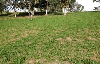 Imagem 4: Terreno à venda, 2800 m² por R$ 841.000,00 - Vila Guilherme - Santa...