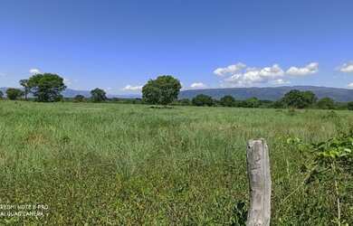 Imagem: A fazenda está localizado em Flores de Goiás, GO à venda