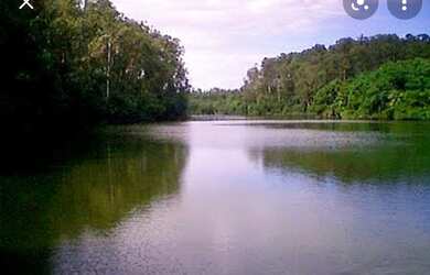Imagem: A fazenda está localizado em Centro, Imperatriz à venda por