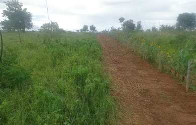 Imagem 5: Chacara 18 mil metros santa rosa 72 km apenas 2 ka de estrada de chão.boa