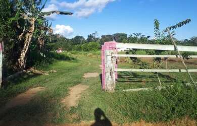 Imagem 7: Chácara por 50 mil. 