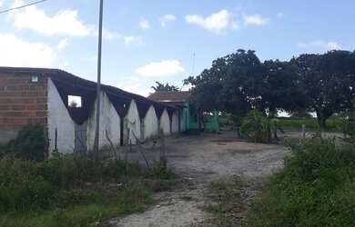 Imagem 4: Excelente Fazenda com 95 hectares na região de vera cruz