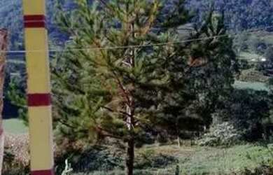 Imagem 2: Sitio em irani santa catarina