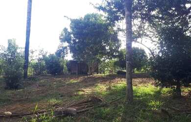 Imagem 5: Chácara por 50 mil. 