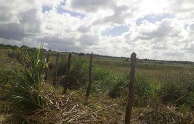 Imagem 6: Excelente Fazenda com 95 hectares na região de vera cruz