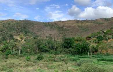 Imagem 3: Terreno, 17.000 m², à venda por R$ 520.000 Secretário - Petrópolis/RJ