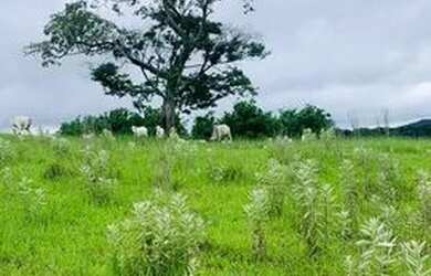 Imagem: O terreno possui 500m² de Área e está localizado em Jardim