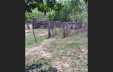 Imagem: A fazenda possui 1m² de Área e está localizado em Cavalcante