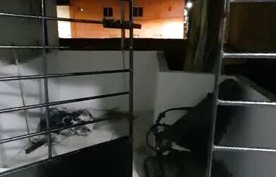 Imagem 5: Casa cordeiro. Varanda, 3 Banheirose3 Dormitórios