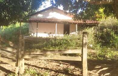 Imagem 13: 313 alqueires em caiapónia