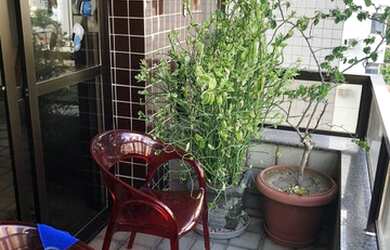 Imagem 2: SUPER OFERTA NO EDF. CARAVELAS 04 QUARTOS, 01 SUÍTE, VISTA DEFINITIVA...