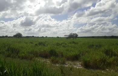 Imagem 11: Excelente Fazenda com 95 hectares na região de vera cruz