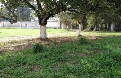 Imagem 9: Terreno à venda, 2800 m² por R$ 841.000,00 - Vila Guilherme - Santa...