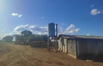 Imagem 2: 313 alqueires em caiapónia