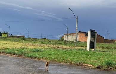Imagem 7: Lote/Terreno para venda com 200 metros quadrados em Fazenda Dourados -...